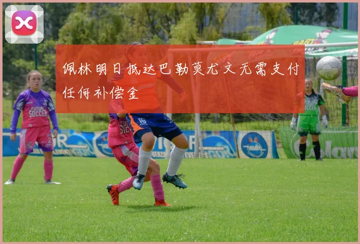佩林明日抵达巴勒莫尤文无需支付任何补偿金