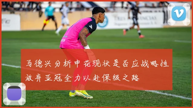 马德兴分析申花现状是否应战略性放弃亚冠全力以赴保级之路